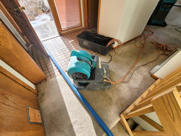 Professional Water damage restoration in WI