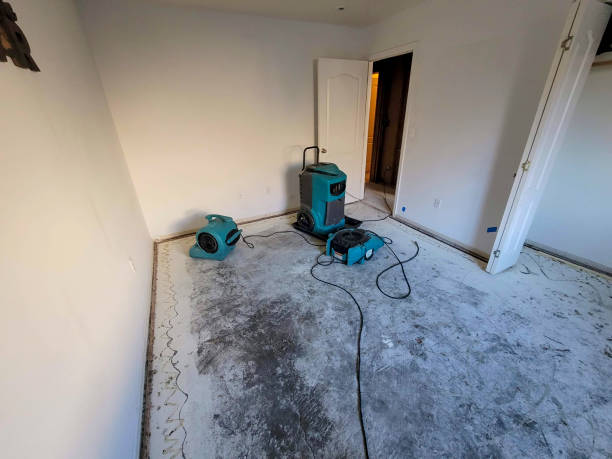 Best Water damage contractors near me  in Johnson Creek, WI
