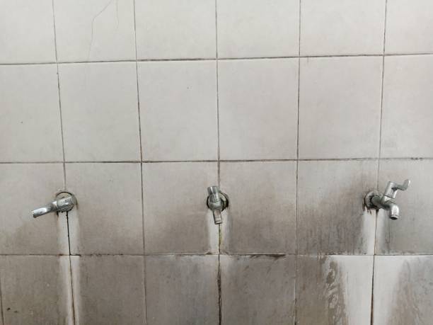 Best Local water damage restoration  in Johnson Creek, WI