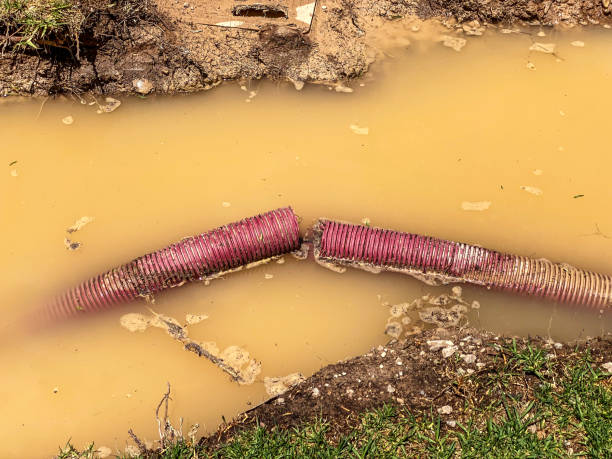 Carpet water damage restoration in WI