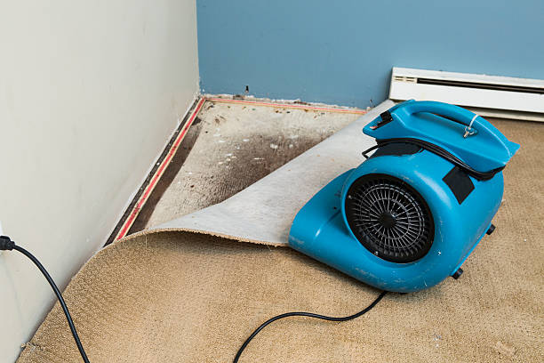  Johnson Creek, WI Water damage restoration Pros